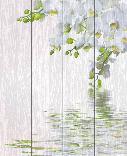 Белая орхидея над водой