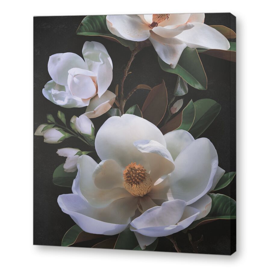 Magnolia macro на подрамнике
