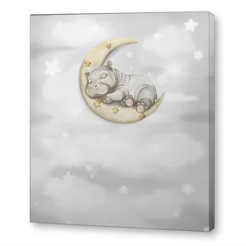 Бегемотик на луне