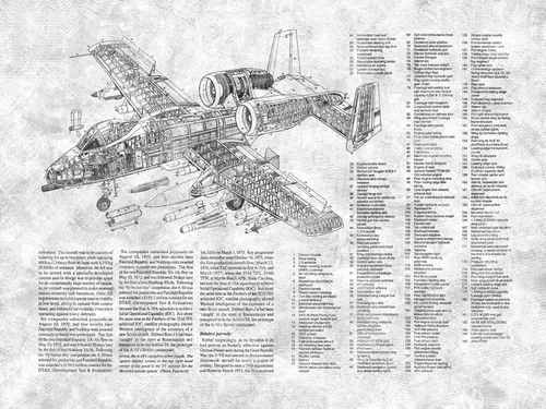 Battle Plane