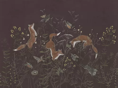 Foxy