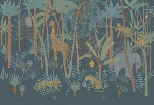 Safari