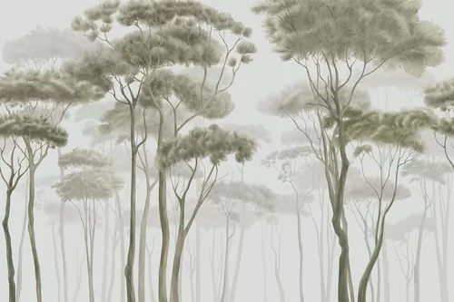 Fog in the forest