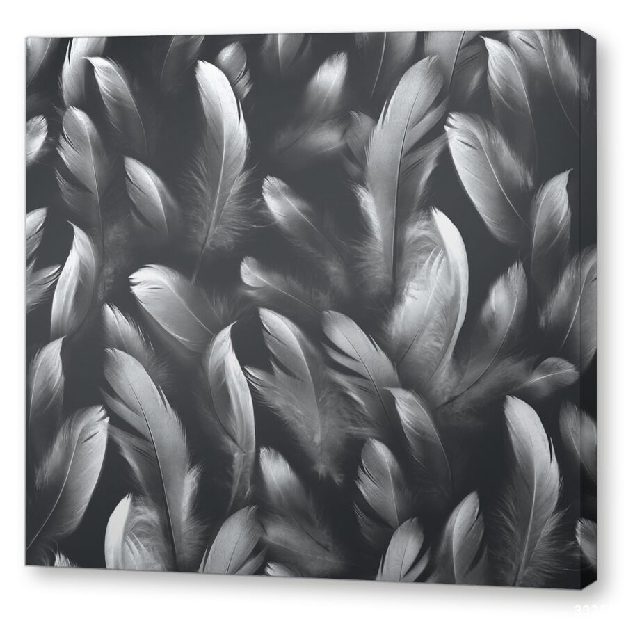 Feather dark на подрамнике