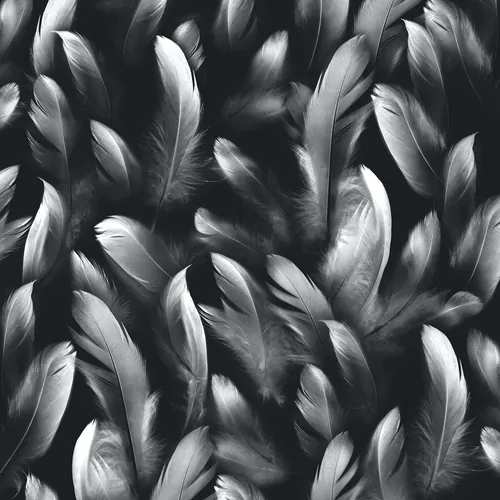 Feather dark