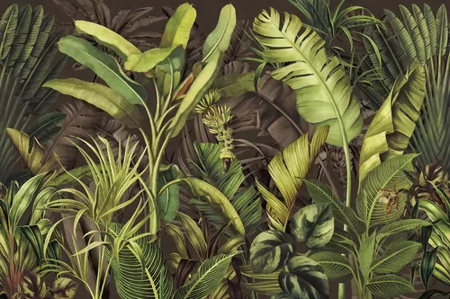 Jungle
