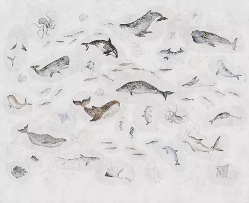 Marine Life