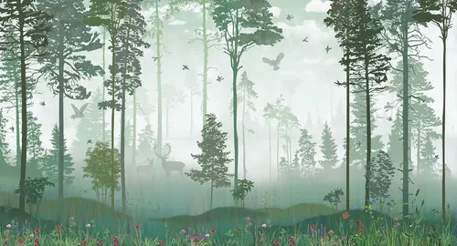 Foggy forest