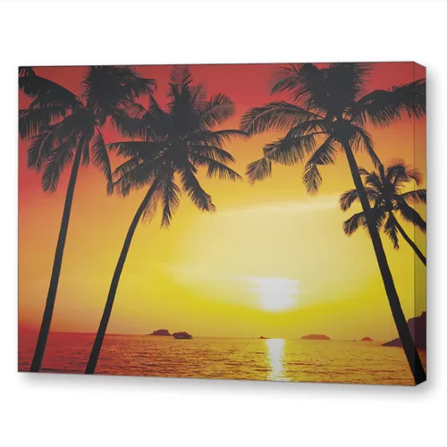 Пляж с пальмами на закате