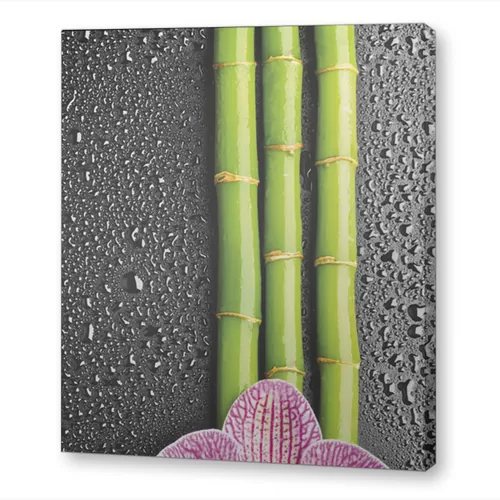 Орхидея и бамбук