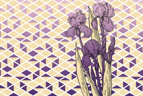 Iris purple