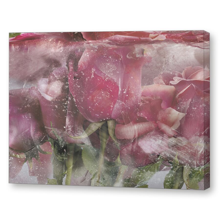 Ice roses pink на подрамнике
