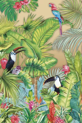 Amazonia