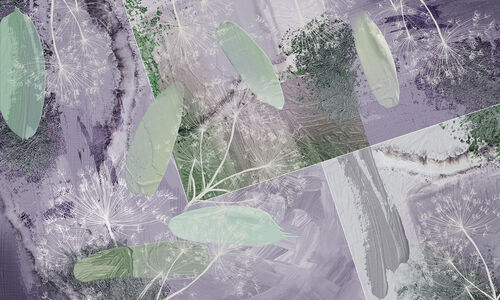 COLOR STORIES цкр10