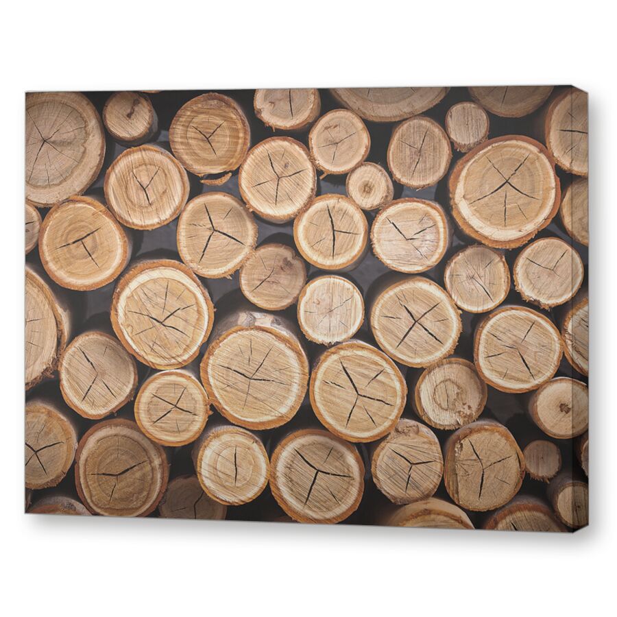 Деревья на подрамнике