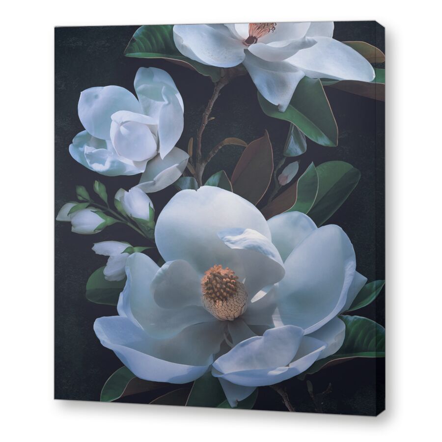Magnolia macro blue на подрамнике