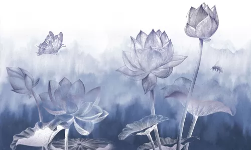 Water lily
