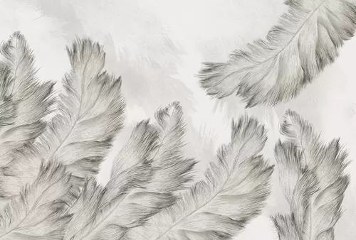 Fuzz