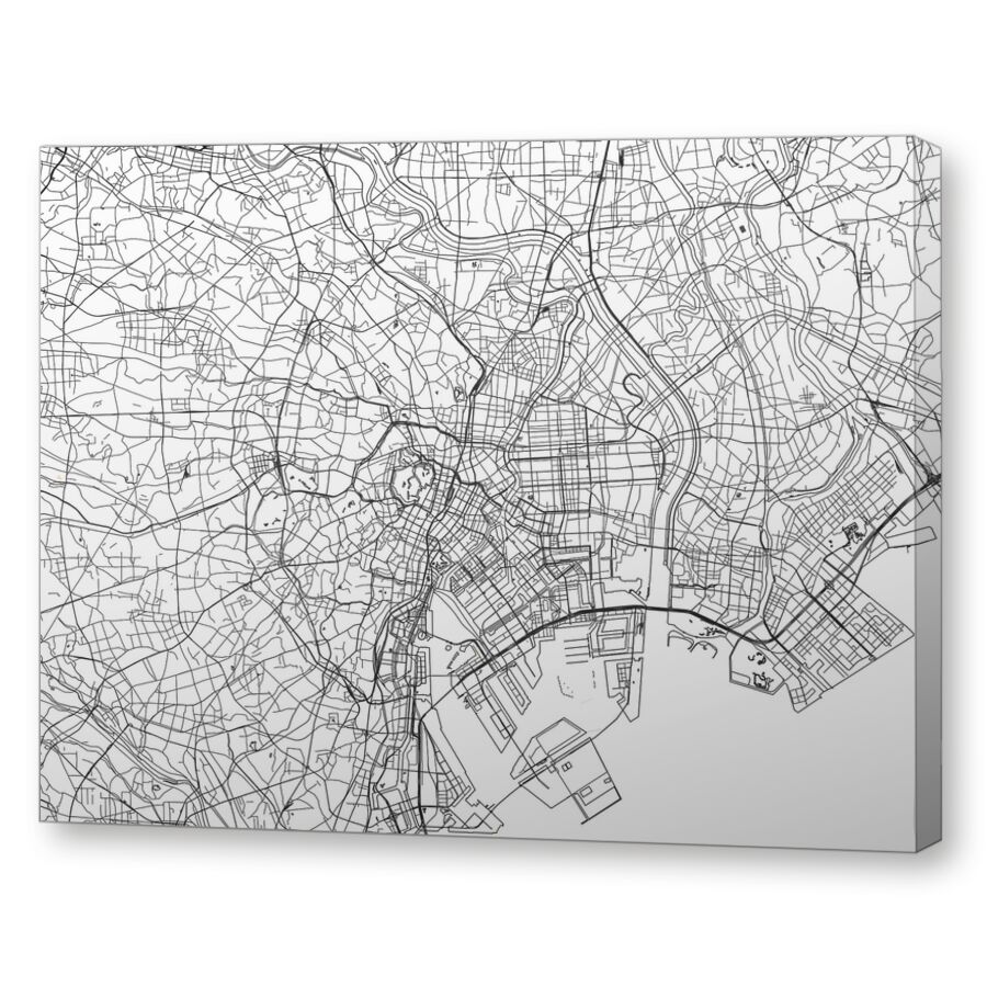 Вокруг Токио на подрамнике