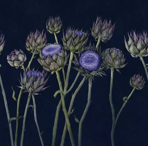 Artichoke