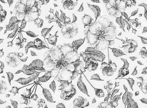 Apple Flowers