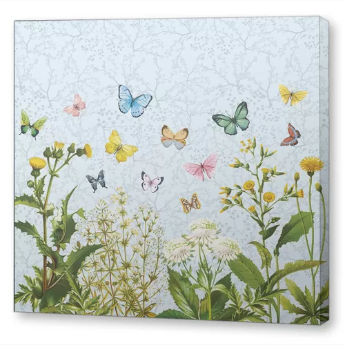 Бабочки и весенние цветы