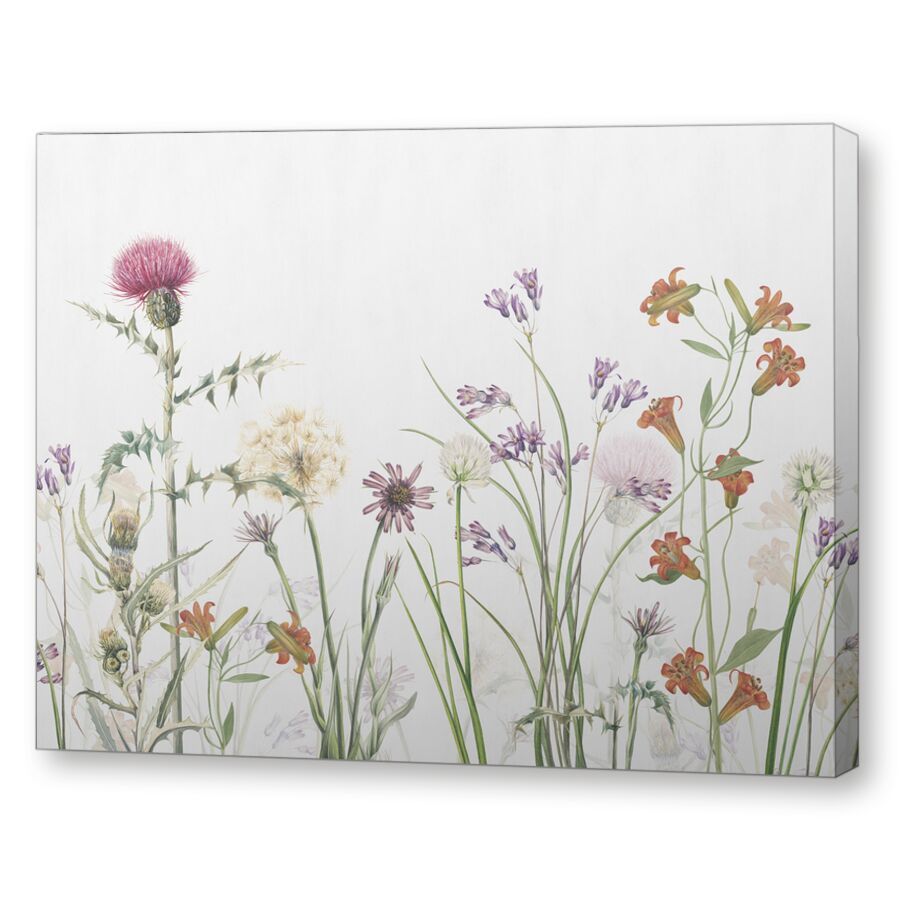 Wildflowers на подрамнике