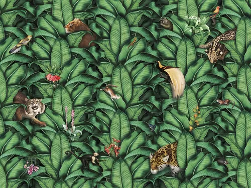 Wilds