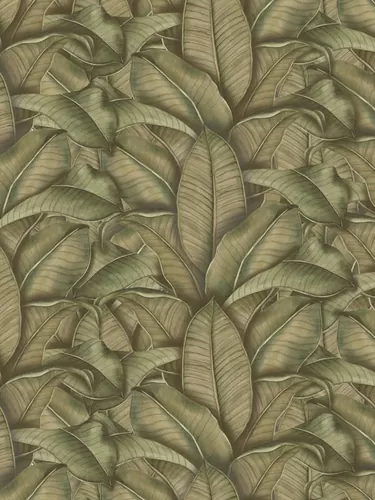 Tropical