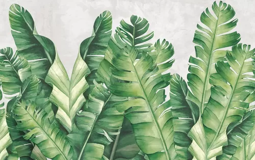 Banana leaves green
