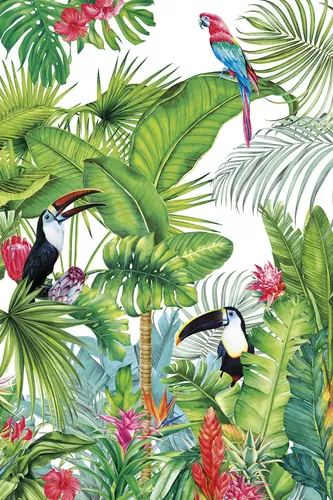 Amazonia