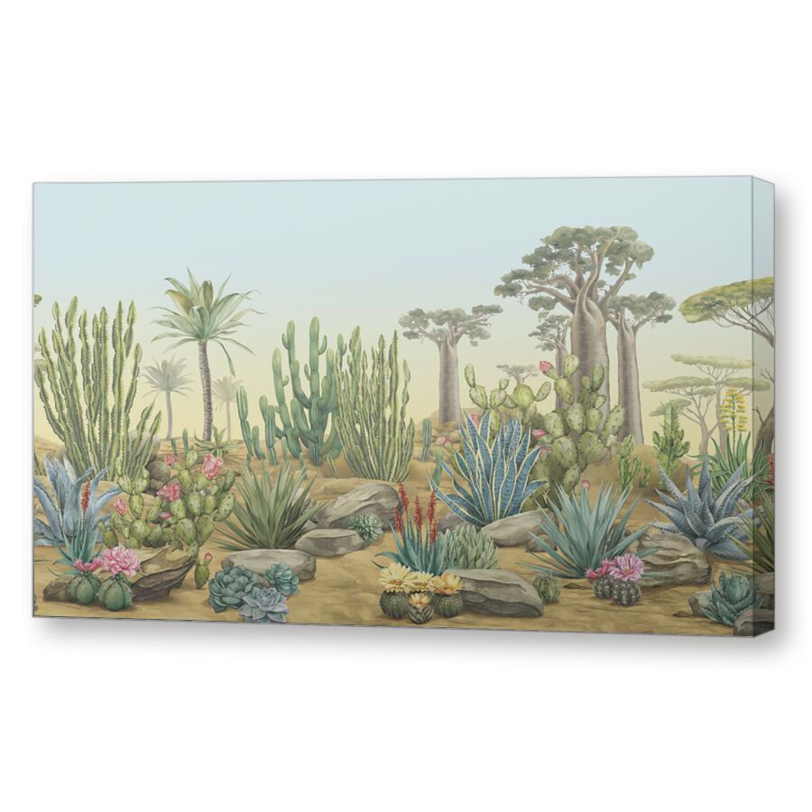 Desert flora на подрамнике