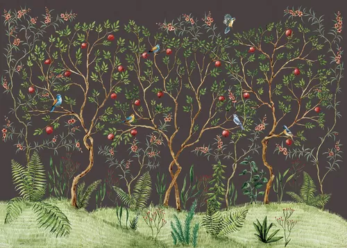 Pomegranate grove dark