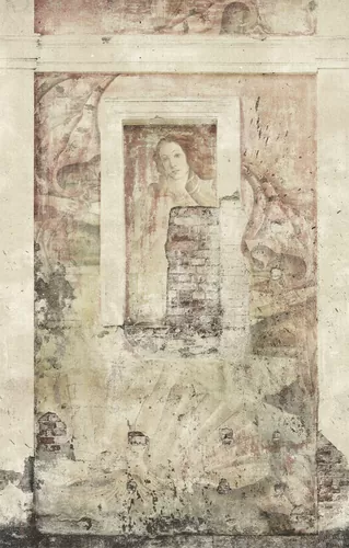 Venera