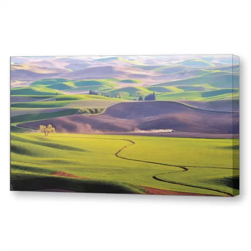 Цветочные поля