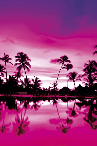 Розовый закат