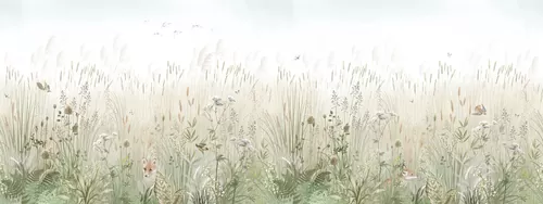 Morning field