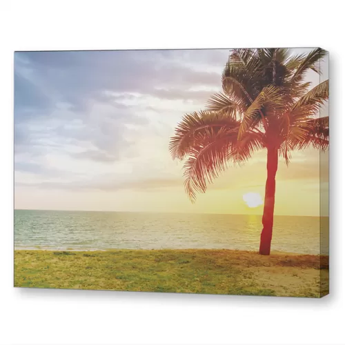 Одинокая пальма на закате