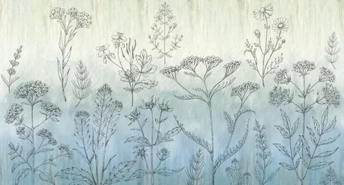 Wildflowers blue