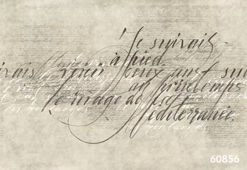 Letra