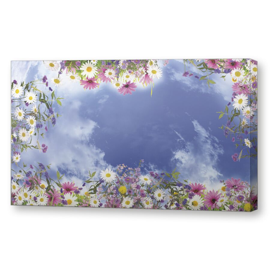 Небо с цветами на подрамнике