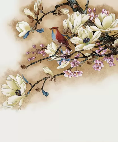 Magnolia
