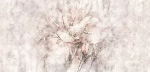 Avrora