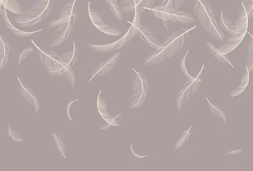 Feathers