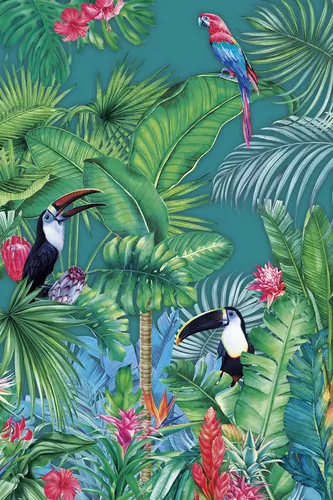 Amazonia