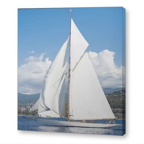 Белые паруса