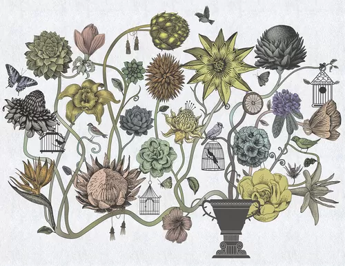 Plants
