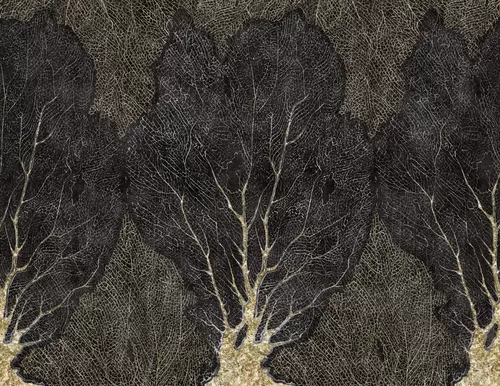 Foresta