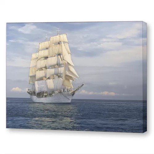 Перед штормом