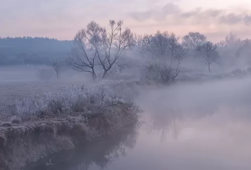 Морозное утро